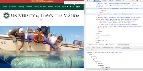 University of Hawaii at Manoa’s website includes descriptive link text, even for icons.