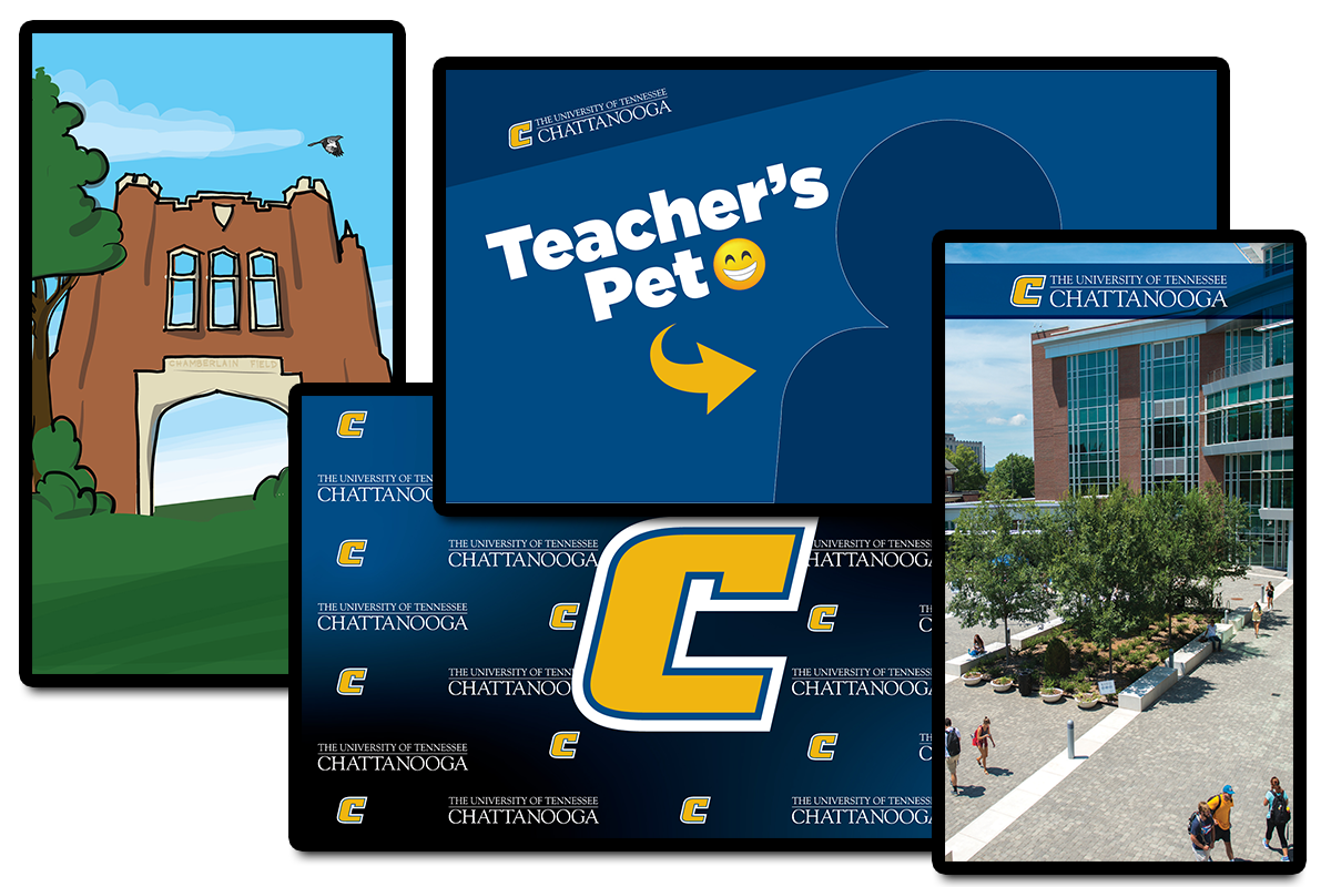 UTC Admissions Zoom BGS collage